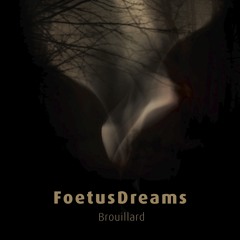 FoetusDreams - Brouillard CD Sampler - contains all tracks