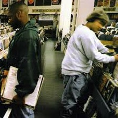 DJ Shadow set
