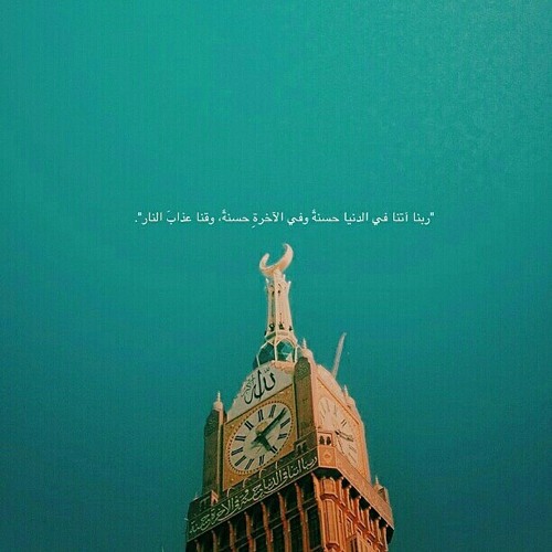 محمد عمر at بو شيخة
