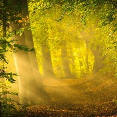 Van Mose - Open arms