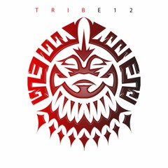 TRIBE 12  JAY ROBINSON  Skrufaze RMX