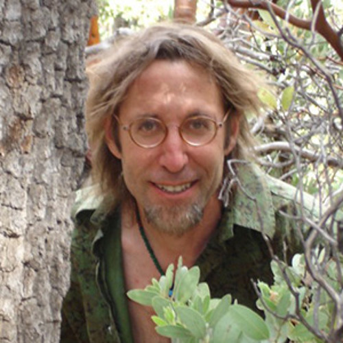 David Abram - Becoming Animal: An Earthly Cosmology