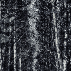 Fort Road - Losing Faith (DM Mix)