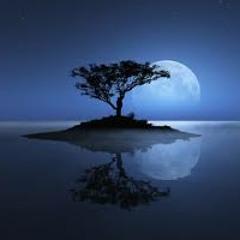 What Dose The Moon Say David Jones Ft RaRa And Jessie Lyons.
