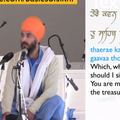 Sant Baba Jarnail Singh Ji -  Nothing But Compassion - English & Punjabi Katha