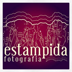 ESTAMPIDA FOTOGRAFIA SPOT