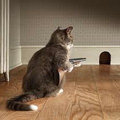 Roy Versluijs - Waiting For The Shot