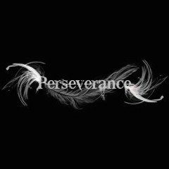 Perseverance