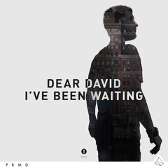 Dear David - I've Been Waiting (Pete Tong BBC Radio 1 First Play)