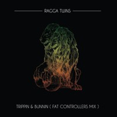 The Ragga Twins-Trippin n Bunnin (Fat Controllers mix)See Description