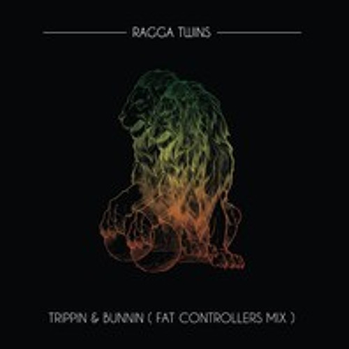 The Ragga Twins-Trippin n Bunnin (Fat Controllers mix)See Description