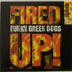 Funky Green Dogs - Fired Up (Otto Fritsche Bootleg) FREE DOWNLOAD