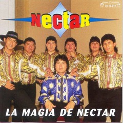 Mujer Infiel-Grupo Néctar