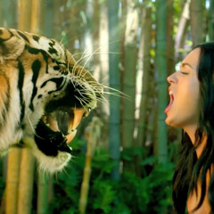 Roar - katy perry (cover)