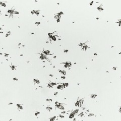 Motorama - Special Day