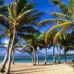 Summer Holidays Mix vol°1