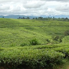 Funkyusa (Hit me 1 Tyme with da Funky) prod by Troo