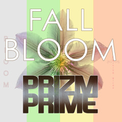 Dance and Electronica