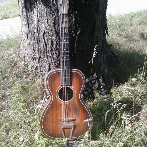 Stream B & J Serenader 1930's Parlor Guitar by Bob Wilson 15 Listen