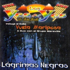 NEGRITA- Los yes yes (clasica)