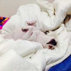 Isn't She Lovely Morning