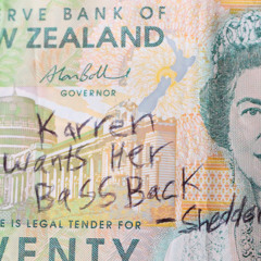 Karen Wants Her Bass Back (Shredderholm Neurofunk Edit)