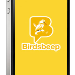 Birdsbeep New Generation Chat Apps