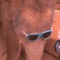 chugga chugga choo choo