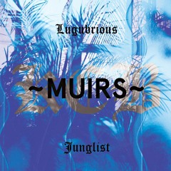 ~Lugubrious Junglist~