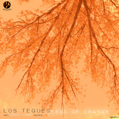 Los Teques - Seeds of Change (Original Mix)