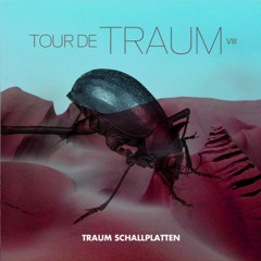 Mist - [Traum Schallplatten] - TRAUMCDDIGITAL31