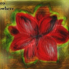 Zero Nowhere - Broken Flowers