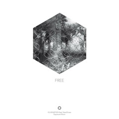 KILIAN&FINN Feat. NewShoes - Free (LCAW Remix)
