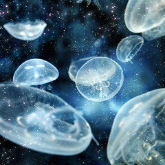 Tara Putra - Tight Flair (Bioscape's Oceanic Spacedream Remix)