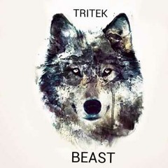 Tritek - Beast (Original Mix)