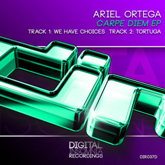 DIR037D - Ariel Ortega - Tortuga (Original Mix) Promo Clip
