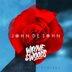 |OUT NOW| John De Sohn - Wild Roses (Wayne & Woods Remix) [Sony Music]