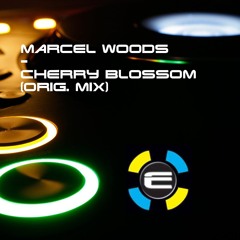 Marcel Woods - Cherry Blossom