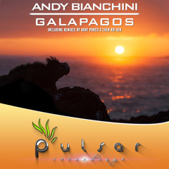 Andy Bianchini - Galapagos (Original Mix)