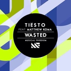 Tiesto ft. Matthew Koma vs. Martin Garrix - Wasted Animals (Justin Craig mashup)