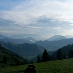seku