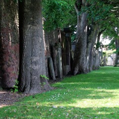 A Walk in the woods (Psylogic ft. Cliffy)