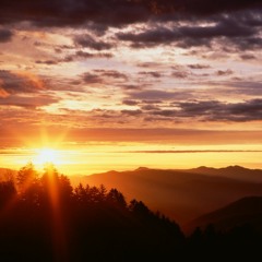 to a better tomorrow