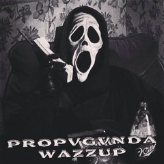 PROPVGVNDA - Wazzup