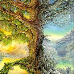Standing Tree - Grounding and Growing Meditation