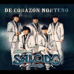 El Pollo Ronco - Conjunto Salcido Norte