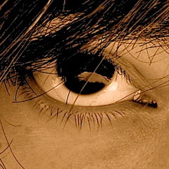 Cohete de Cartón - Andrea Báez