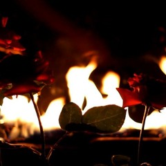 FLORES DO FOGO- O Rei - (Ricardo Faleiro/ Davi Raimundo)