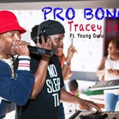 Tracey Lee - Pro Bono Feat. DJ Young Guru