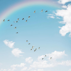 Matze On Guitar (MindjiveLumia)